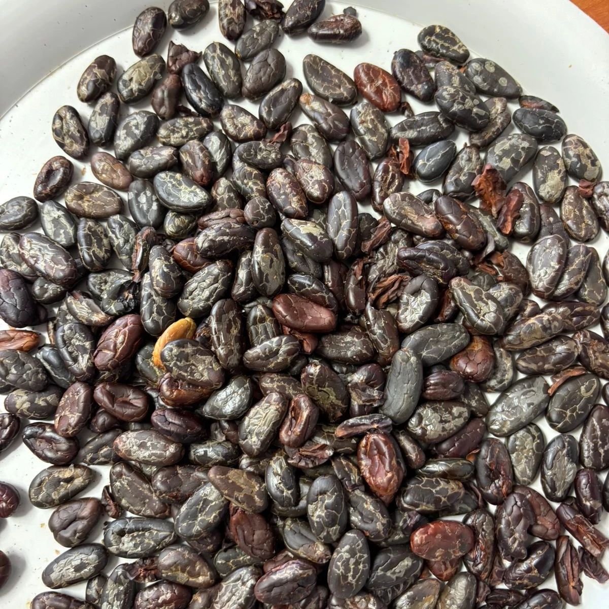 Alcajá Chocolate Artesanal 