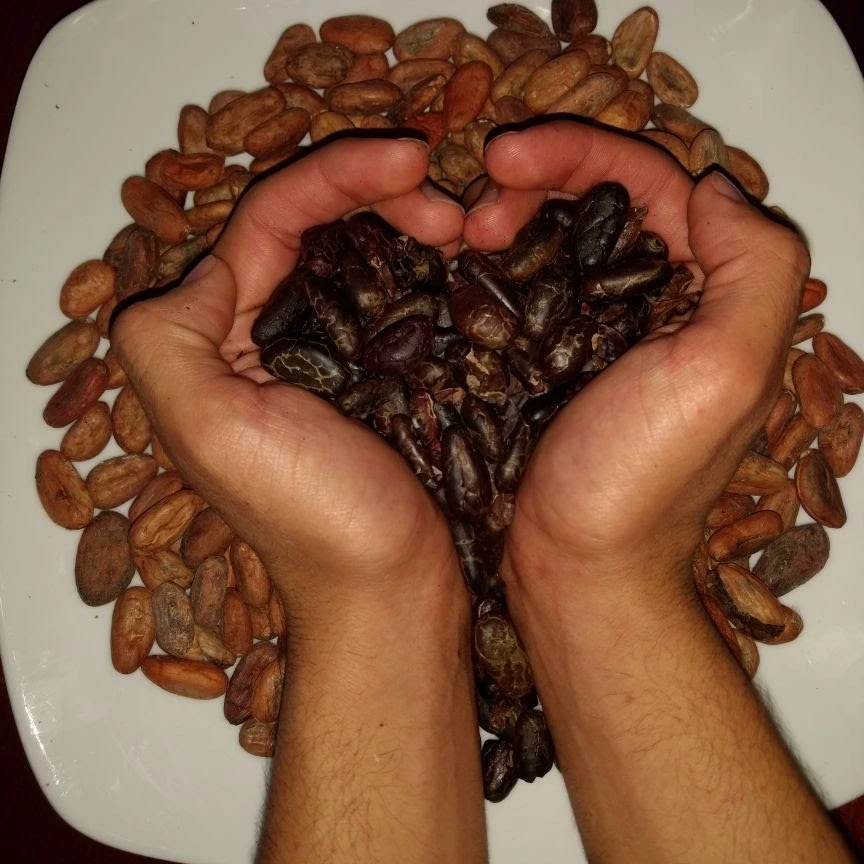 Alcajá Chocolate Artesanal 